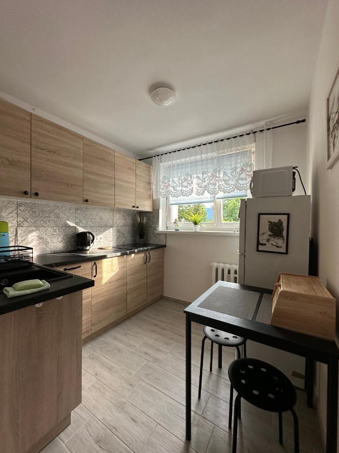 Tradycyjne Mieszkanie Przy Parku Norweskim Jelenia Gora Exterior photo